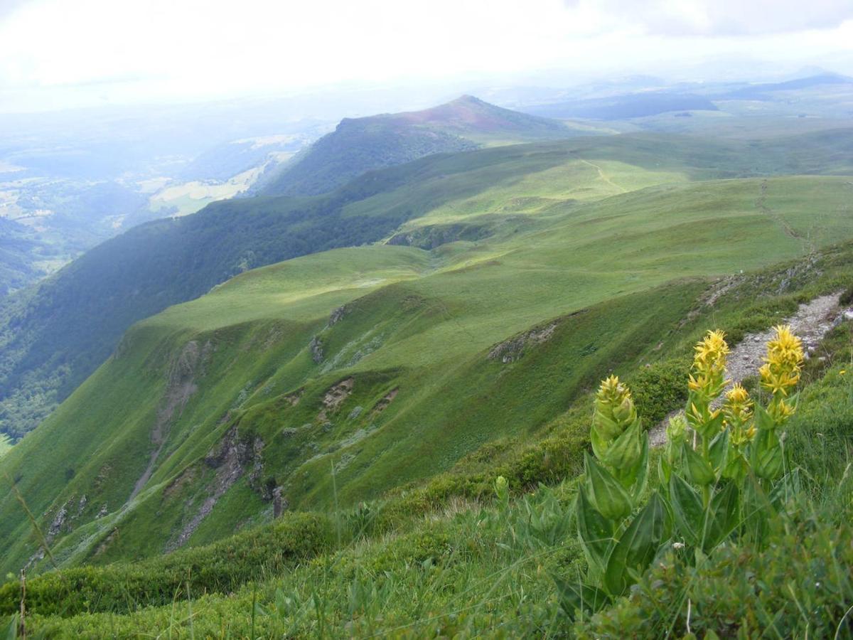 Vila L'Esprit Du Bois Aydat Exteriér fotografie