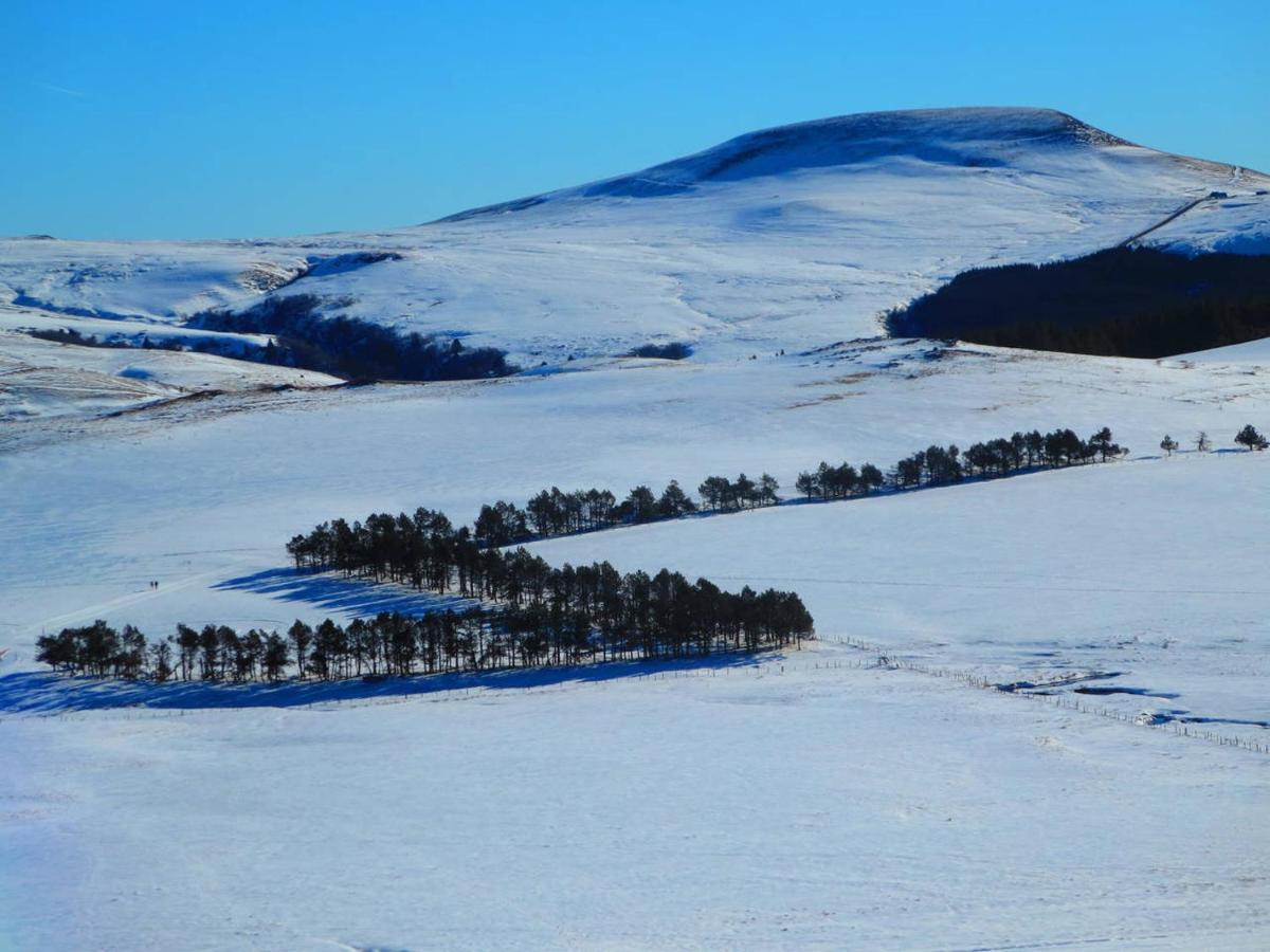 Vila L'Esprit Du Bois Aydat Exteriér fotografie