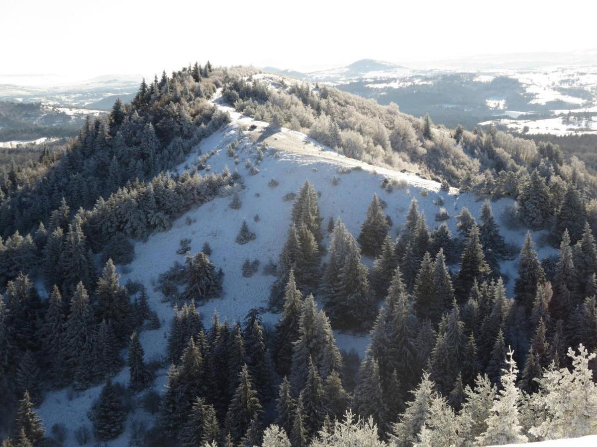 Vila L'Esprit Du Bois Aydat Exteriér fotografie